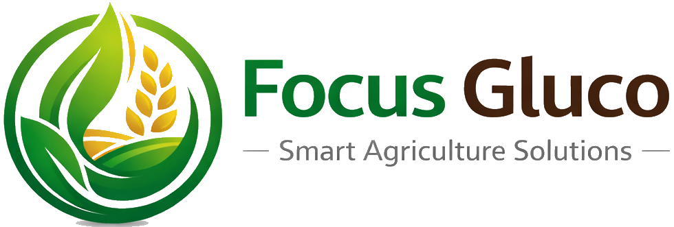focusgluco.com